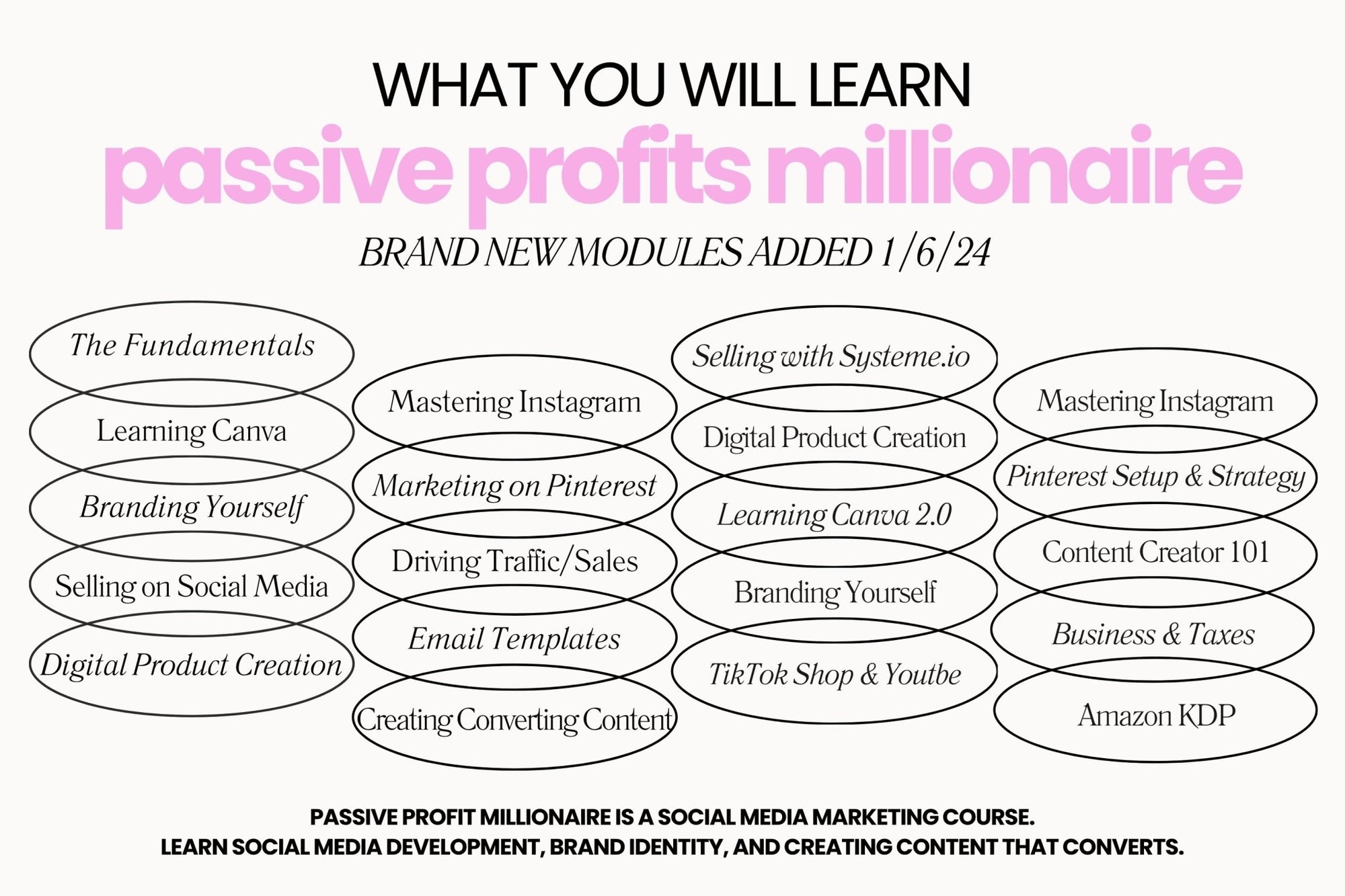 Passive Profit Millionaire MRR Digital Marketing Course DISCOUNTED ON SALE - theResellBrand